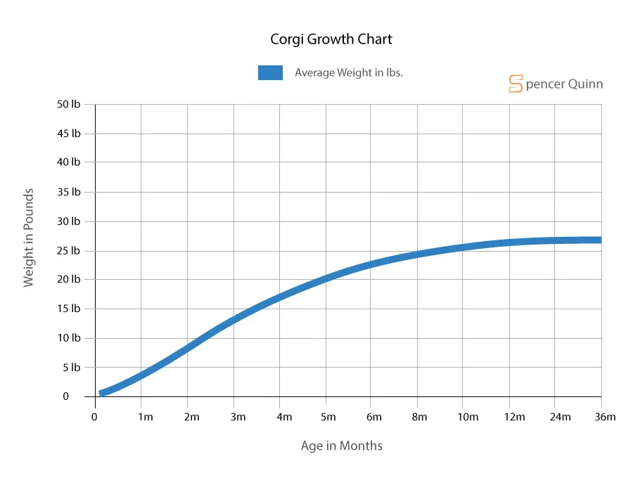 How Much To Feed A Puppy Schedule, Growth Chart, Q&A Spencer Quinn