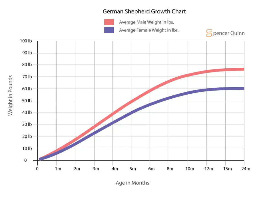 German Shepherd Growth Chart