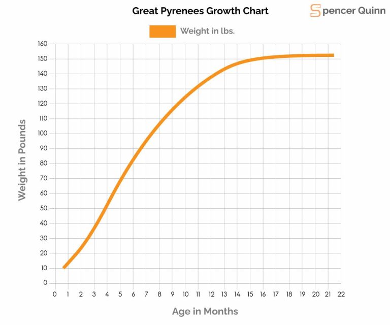 How Much To Feed A Great Pyrenees Puppy Ultimate guide
