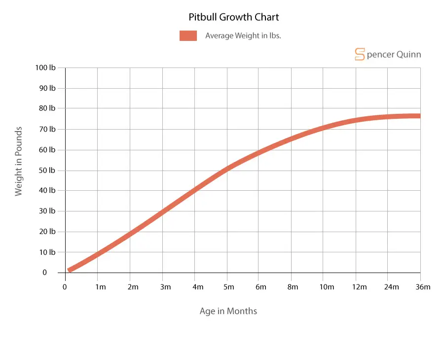 Pitbull Growth Chart