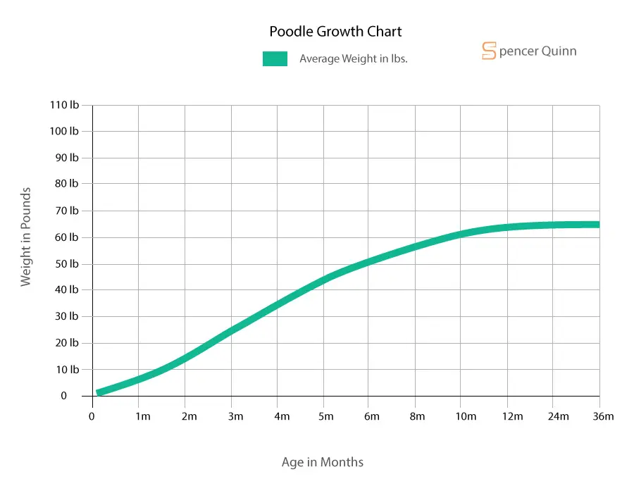 Poodle Growth Chart