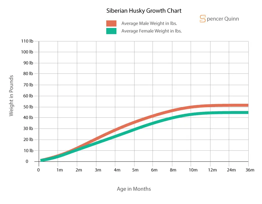 Siberian Husky Growth Chart