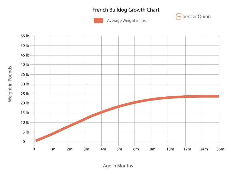 French Bulldog Growth Chart