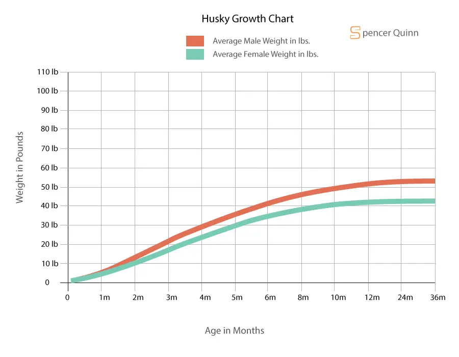 Husky Growth Chart