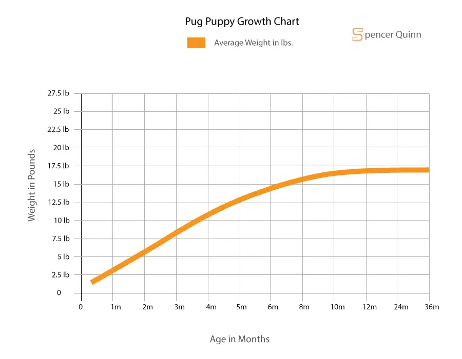 Pug Puppy Growth Chart