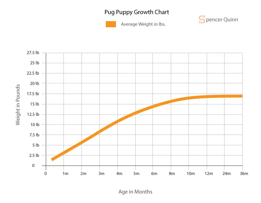 How Much to Feed a Pug Puppy Feeding Schedule, Growth Chart, FAQs