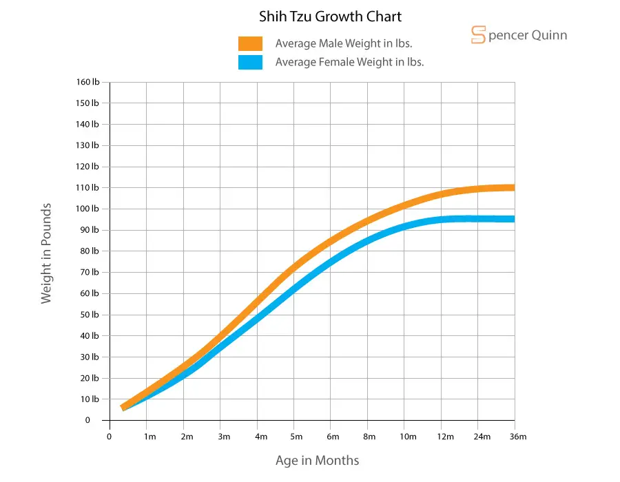 Female Rottweiler Growth Chart