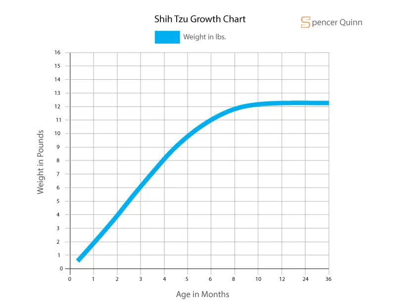 Shih Tzu Growth Chart