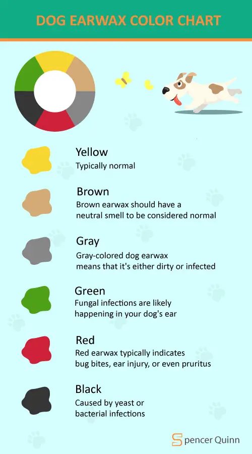 Dog Ear Wax Color Chart What It All Means Spencer Quinn