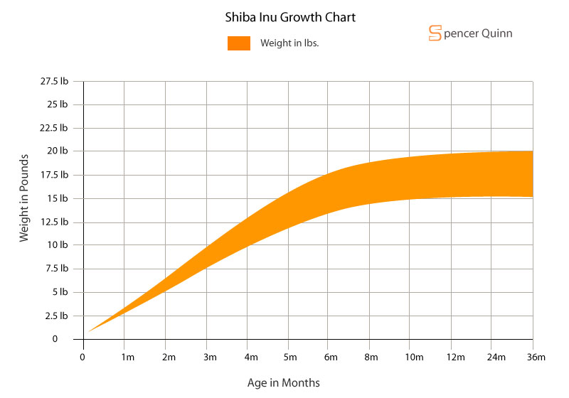 Shiba Inu growth chart